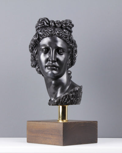Bust of Apollo - Olympian God (Bronze) 