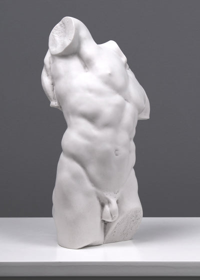 Adonis Statue - Study of a Male Torso (Small)