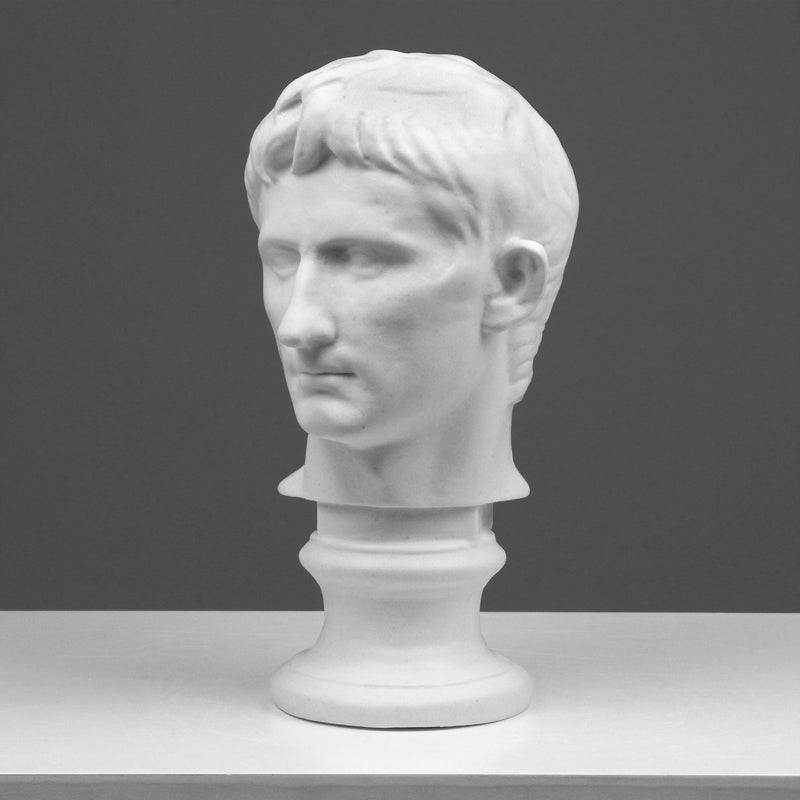 Caesar Augustus Bust of Primaporta