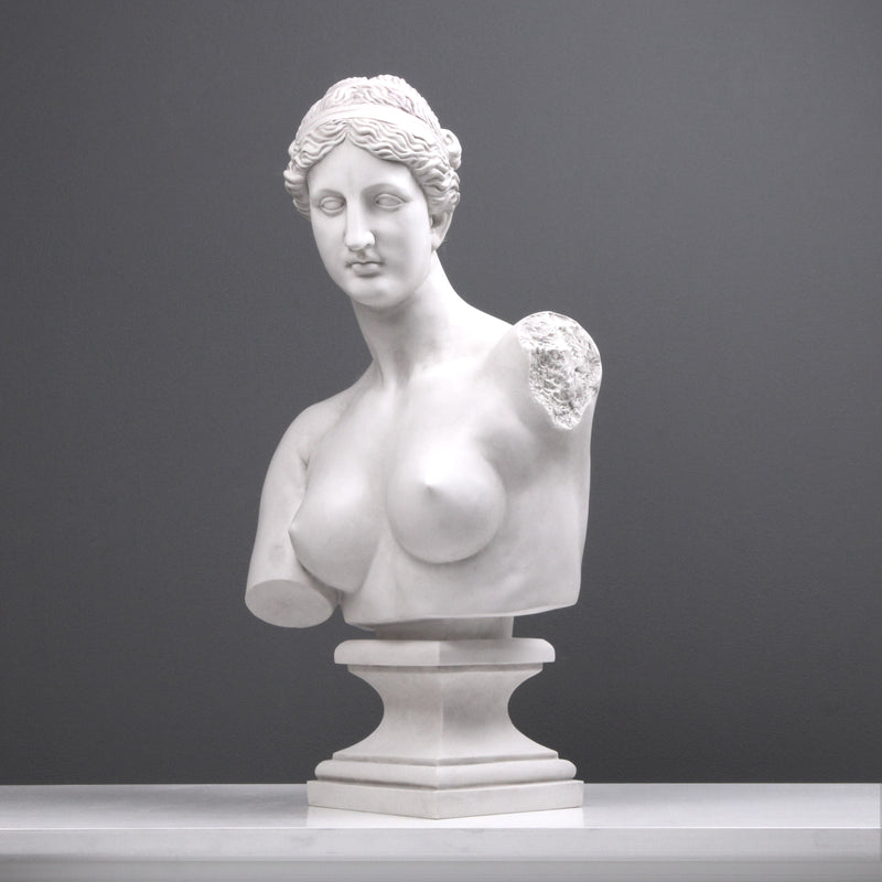 Contemporary Aphrodite Bust Sculpture