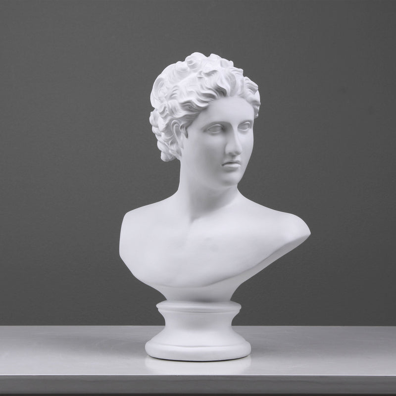 Venus Bust Statue by Canova (White Resin Sculpture)