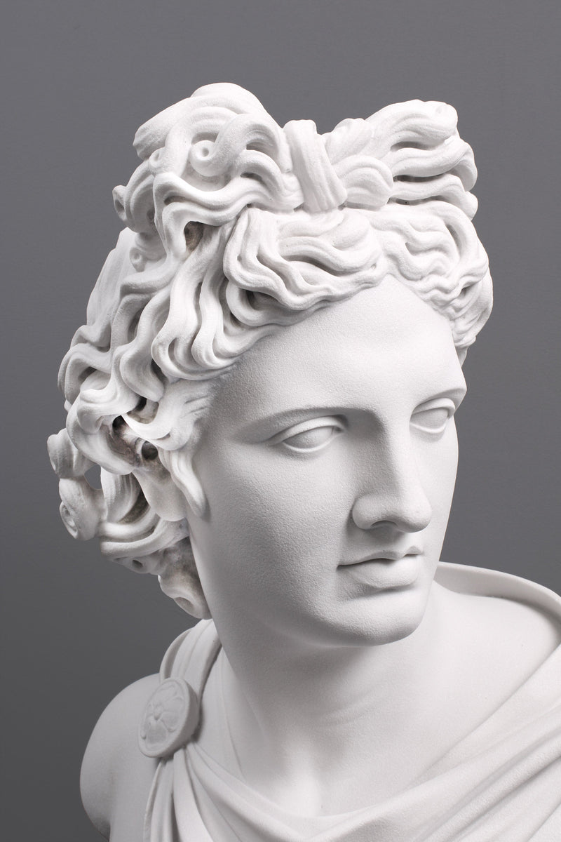 Apollo Belvedere Bust