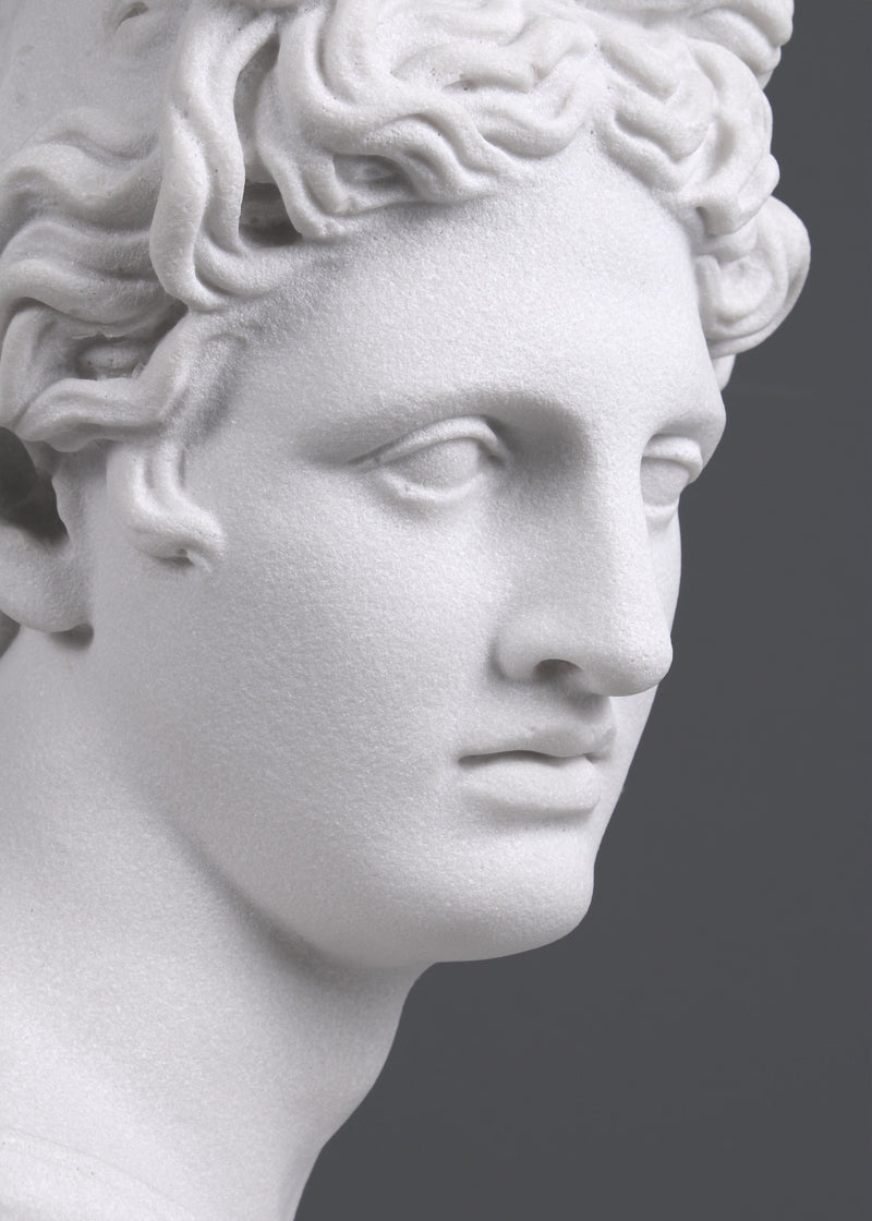 Apollo Bust Statue - Marble Sculpture – The Ancient Home