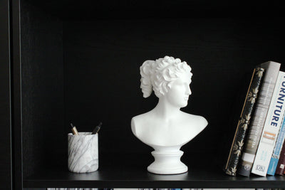 Venus Bust Statue by Canova (White Resin Sculpture)