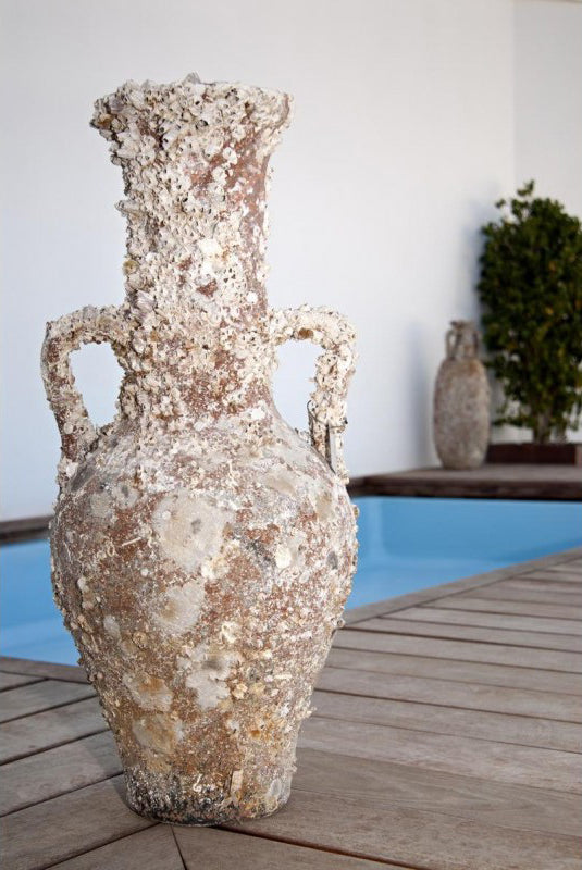 Vesuvius' Ancient Sea Amphora maritime style sea shell decor Roman