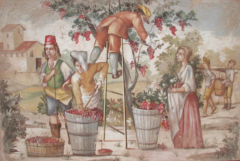 Wine Harvest Fresco