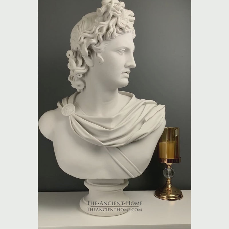 Head Bust of Greek god Apollo Belvedere Hellenistic museum replica  reproduction
