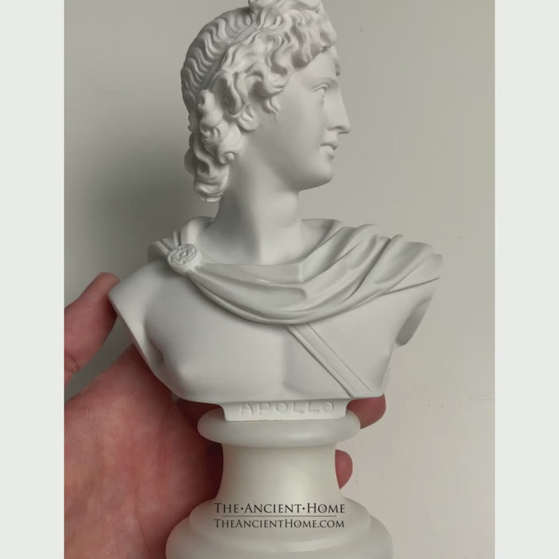 Apollo Bust Statue (Small) marble sculpture greek roman – The
