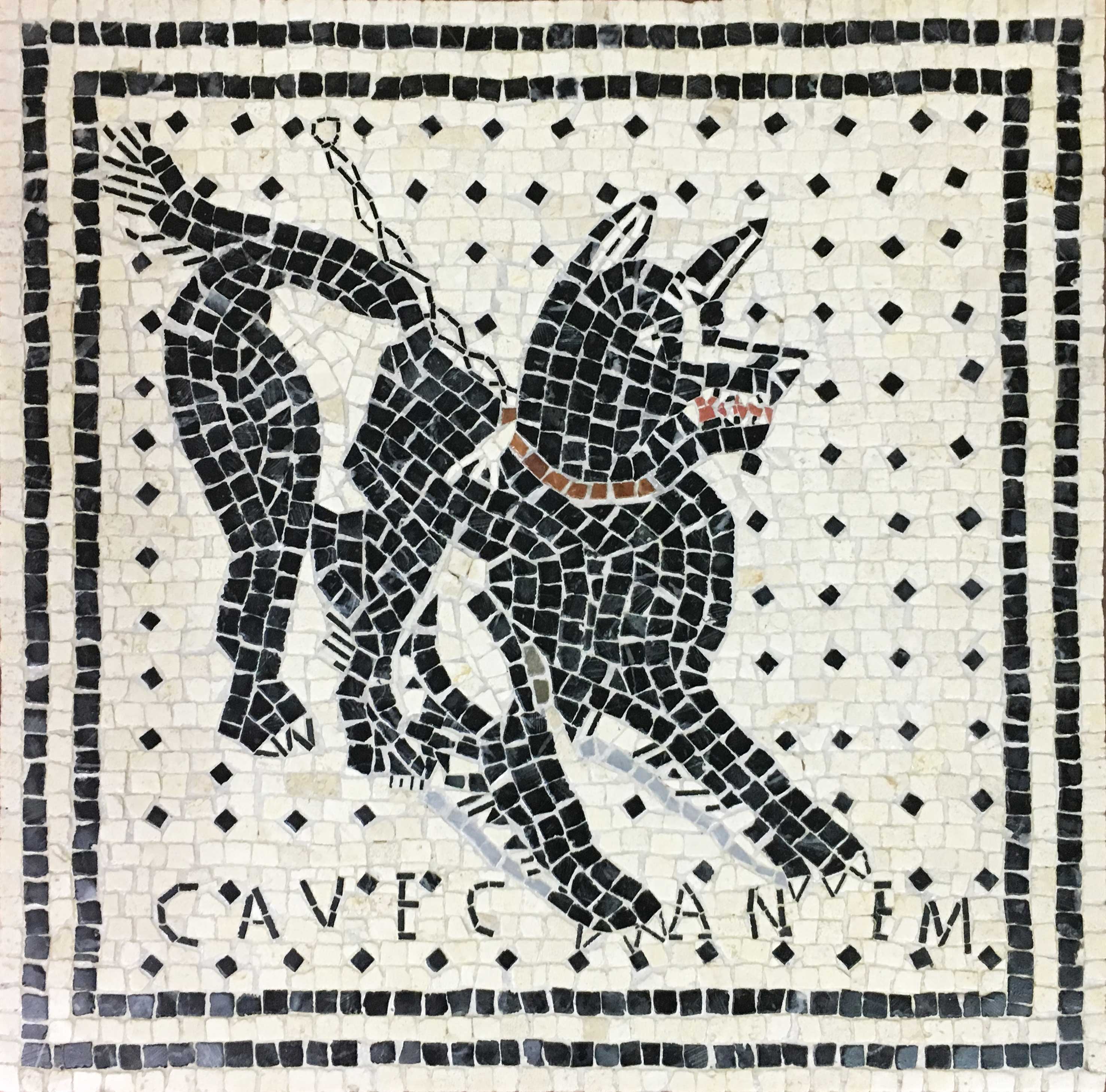 Слово мозаика с латинского означает. Cave Canem Римская мозаика. Опус Тесселатум мозаика. Opus tessellatum Римская мозаика. Opus regulatum Римская мозаика.