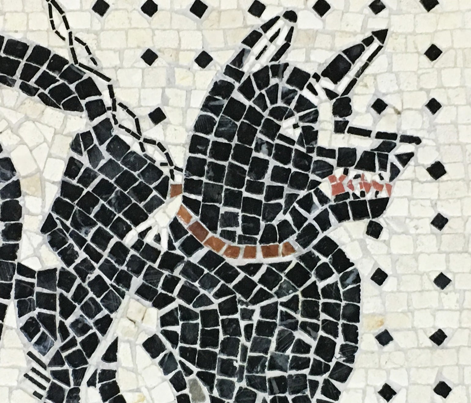 Roman CAVE CANEM Mosaic (Black Lab) Pet Mat for Sale by Goosekaid