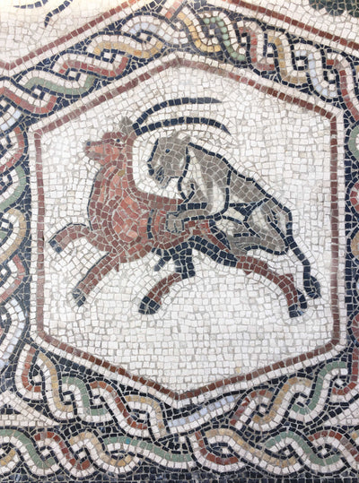 Carpet of Animals Mosaic