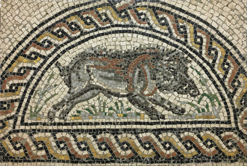 Boar from the Seasons of the Year Mosaic