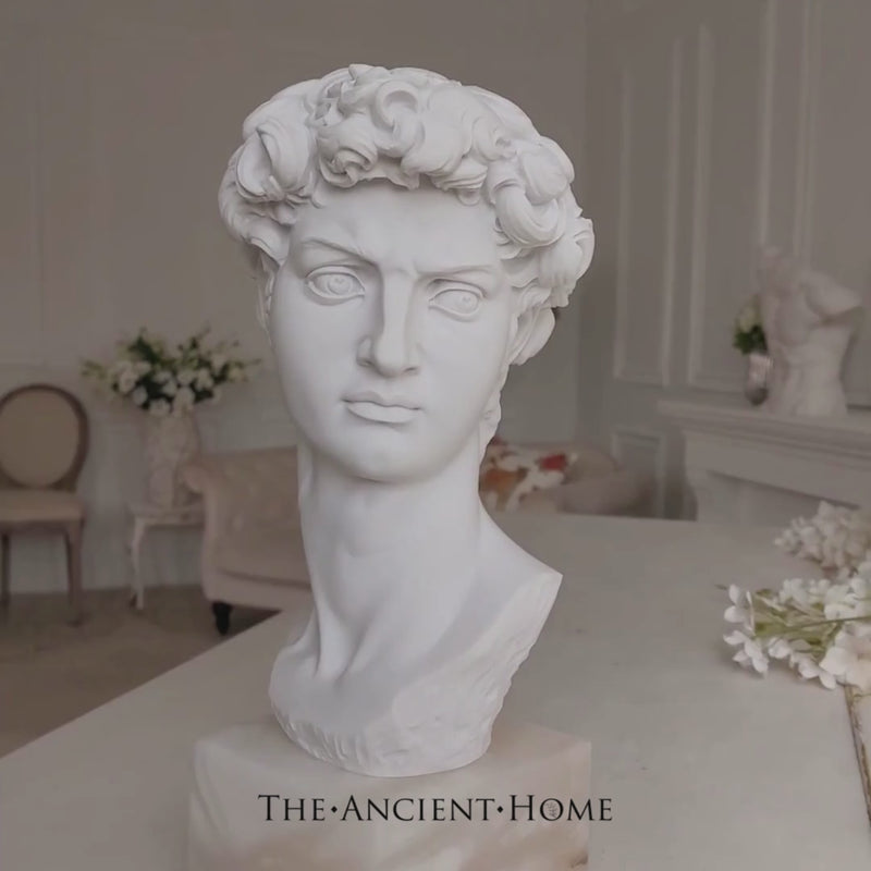 David Statue, Greek Decoration, Home Decoration Statue, Bust Sculpture for  Home Decoration, Suitable for Living Room, Office, Shelf for Home