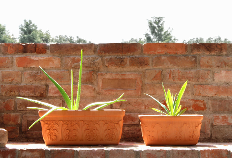 medium terracotta plant pots Medium Rectangle Terracotta Planter with Floral Design orange