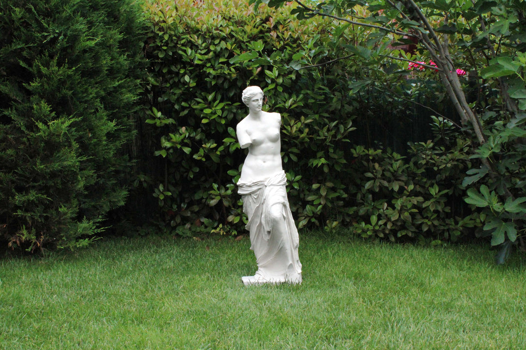 De Godin Van De Liefde in De Griekse Mythologie, Aphrodite Venus in De Romeinse Mythologie